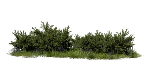 Cluster of green bushes surrounded by grass. Small flowers add color to the area. The plants are well-lit under daylight, showing their natural forms. 3d render © angel_nt
