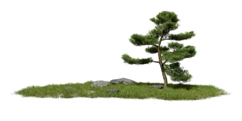 Tree grows on a small area of grass surrounded by a few rocks. The scene takes place in a sunny, open area with no other plants or structures in sight. 3d render © angel_nt