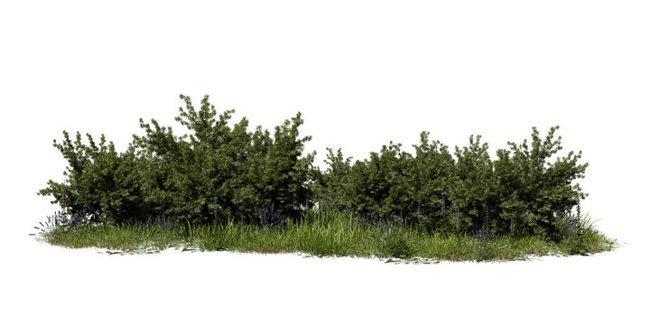 Cluster of green bushes surrounded by grass. Small flowers add color to the area. The plants are well-lit under daylight, showing their natural forms. 3d render