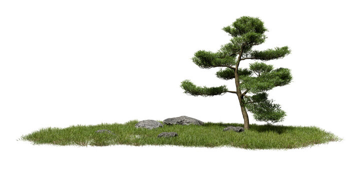 Tree grows on a small area of grass surrounded by a few rocks. The scene takes place in a sunny, open area with no other plants or structures in sight. 3d render