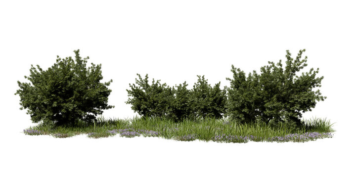Green bushes and grass grow next to each other in an outdoor setting. This scene shows a mix of plants and ground cover. The layout suggests possibilities for landscaping and gardening. 3d render