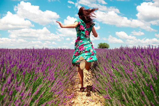 France, Provence, Valensole plateau, back view of woman running among lavender fields in summer
