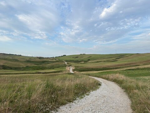 A white gravel road winds through rolling green hills beneath a blue evening sky with sunlit clouds. Peaceful countryside with a dreamy atmosphere.