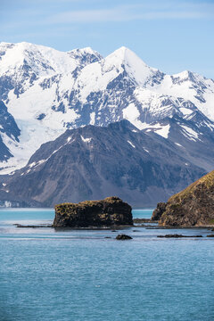 Jason Harbour, South Georgia Islands: Snow-capped mountains and coastal scenery