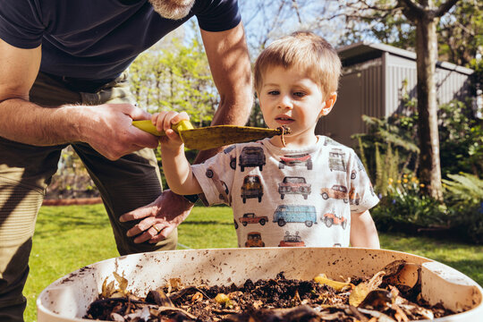 Father and son inspecting worm farm in their garden