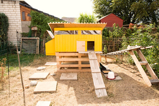 Chicken house in garden