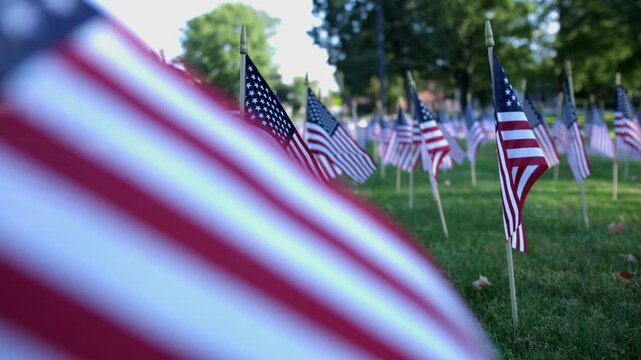 Many small american flags placed in park grass during summer holiday celebration.