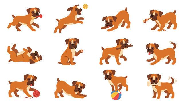 Happy Boxer Dog Poses Collection: Playing with Toys, Fetching, Relaxing