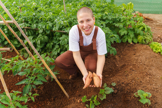 Smiling woman holds a harvested sweet potato in an urban garden