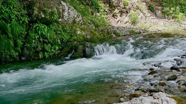 渓谷を流れる川の流れ (no sound)