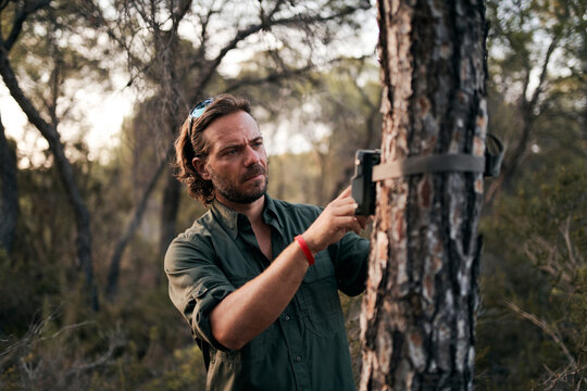 Man adjusting the settings in trail camera mounting on tree trunk in forest
