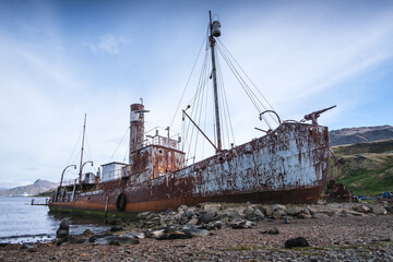Fototapeta premium Abandoned whaling ship at the Guridviken whaling station in the South Georgia Islands