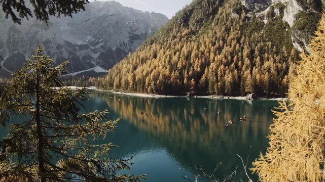Serene mountain lake with autumn forest and distant snow capped peaks.