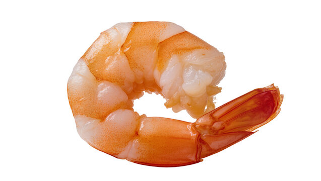 Cooked shrimp with orange and white segments, isolated on transparent background