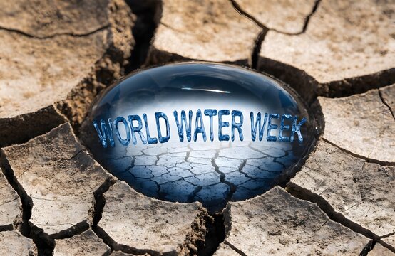 World water week concept text inside blue bubble on cracked earth