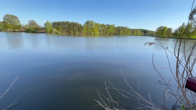 Slow panoramic view of a peaceful fish pond on a sunny spring day with clear blue sky, calm water reflecting a lush green forest and gentle camera movement across the natural landscape.