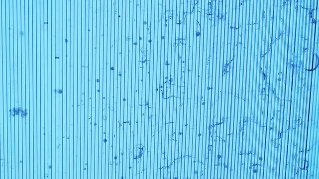 rain falls on polycarbonate roof