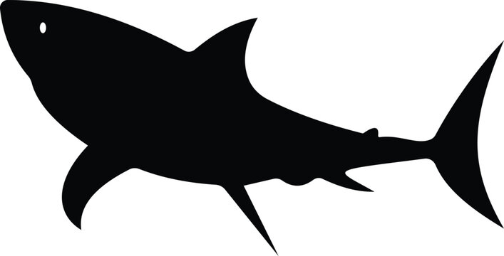 Shark icon in silhouette and outline style, marine predator fish shapes in multiple swimming poses, black and line ocean animal vector illustration