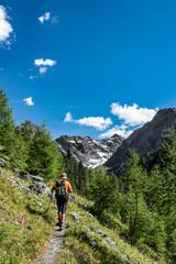 Fototapeta premium Hiker in the Central Alps with Disgrazia massif on background, Valmalenco, Lombardy