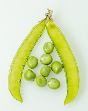 Fresh green peas nestled in open pod