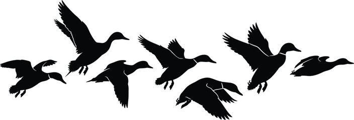 Flying duck flock and wild goose silhouette black graphic element set for hunting nature backdrop design © Shukimon