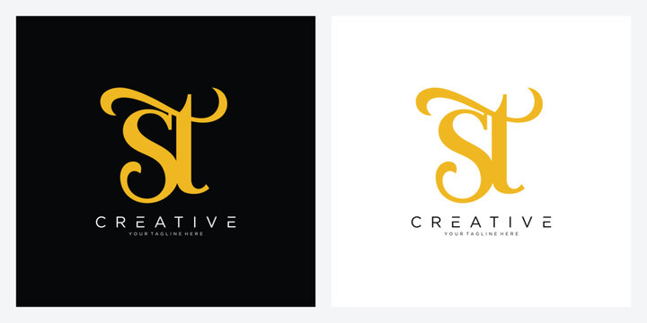 Initial ST or TS Logo Design Vector