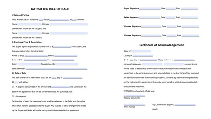 Fototapeta premium Cat,Kitten Bill of Sale Form, color vector illustration