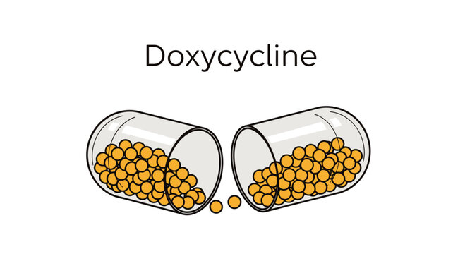 A flat vector illustration of an opened transparent capsule filled with small orange pellets, labeled with the text "Doxycycline," isolated on a white background.