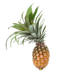 Fototapeta premium Whole Ripe Pineapple with Crown Isolated on transparent Background with Clipping Path