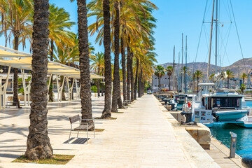Cartagena marina promenade with palm trees and moored yachts © unai