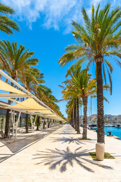 Cartagena harbor promenade with palm trees and sunshades