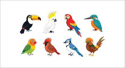 Collection Of Colorful Tropical Birds Flat Vector Illustration © mdaburaihan