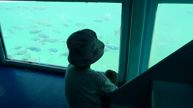 Young child wearing a bucket hat sitting inside a glass bottom boat, fascinated by a large school of fish swimming by the underwater window during a summer trip to tabarca island