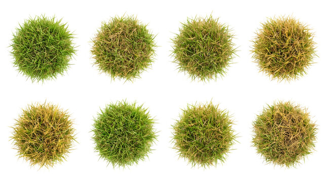 Top view grass tufts collection, set of 8 round green and yellow lawn patches, overhead garden plant bushes for architectural visualization