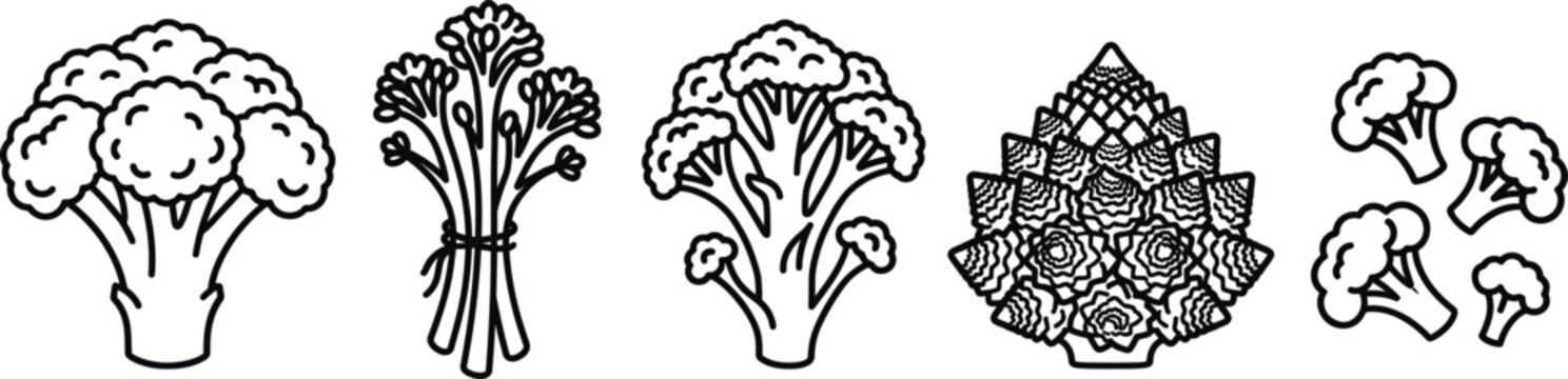 Broccoli varieties line art icons set, minimal vegetable outline vector illustration