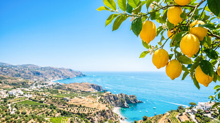Vibrant yellow fresh lemons hanging tree branch overlooking bright blue mediterranean sea spectacular coastal landscape picturesque summer travel vacation background wonderful nature