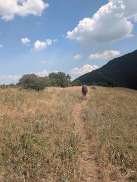 Escursionista che cammina lungo un sentiero stretto immerso in un prato secco con vegetazione rada, circondato da alberi e da un pendio montano sullo sfondo sotto un cielo sereno