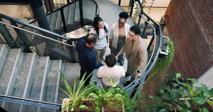 Business people, meeting or handshake on stairs for welcome or introduction in green office. Above, team and employee shaking hands for greeting or hiring, recruiting and onboarding in climate agency