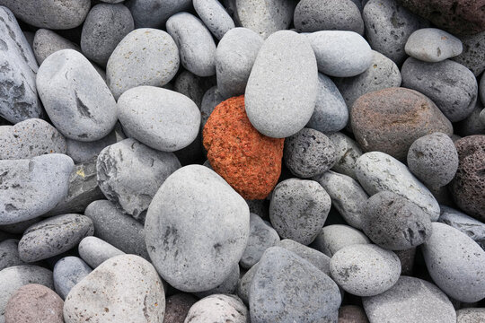 stones on the beach and one is colored by nature
