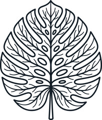 Minimalist black and white line art of a monstera leaf. © akuvascal