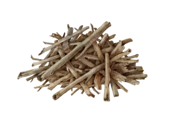 Dry tree branches pile hand painted watercolor illustration isolated on transparent background. Rustic woodland element of natural sticks for forest, camping, firewood, landscaping and outdoor design. © anitapol
