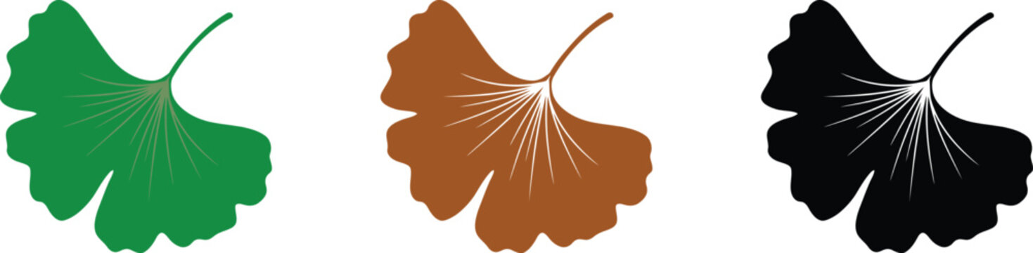 Ginkgo leaf icon. Fan shaped leaf symbol. Simple pictogram for autumn nature, botanical design, herbal medicine, tree foliage and eco-friendly decoration design.