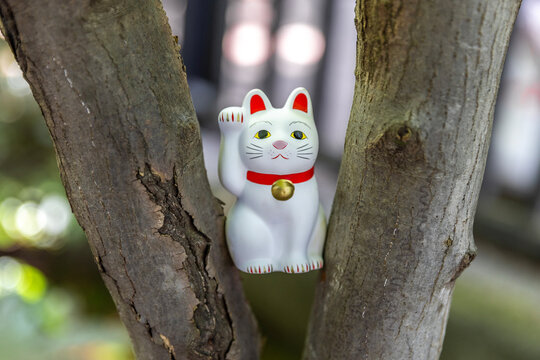Maneki neko beckoning cat bringing fortune and good luck