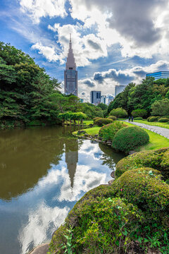 Shinjuku gyoen national garden pond