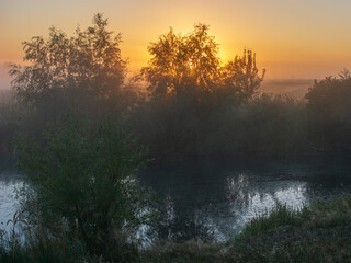 Fototapeta premium A misty morning landscape features lush green trees reflecting in a calm river as the golden sun rises over the horizon