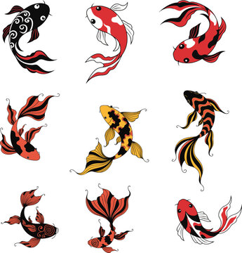 Koi Carp Fish Illustrations Isolated on White Background &ndash; Japanese Koi Collection, Decorative Aquatic Fish Art