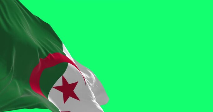 Algeria national flag waving isolated on green background