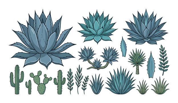 Hand drawn collection of blue agave succulents and green desert cacti