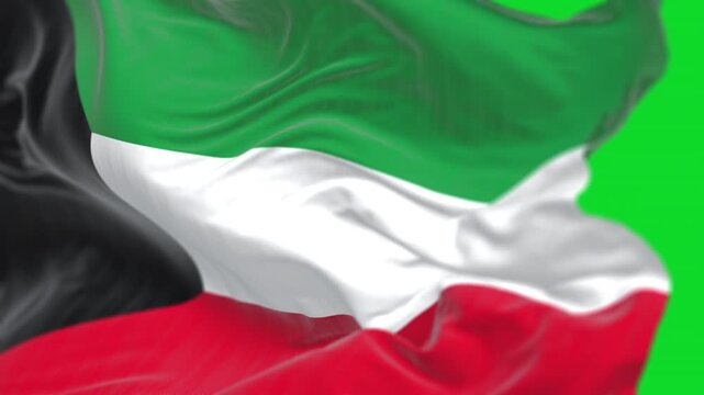 Kuwait national flag waving in the wind isolated on green background