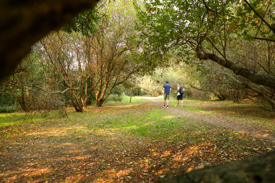 Two young men hiking a trail through trees